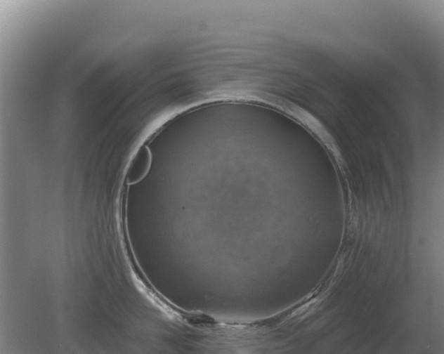 X0000080200958200612152037