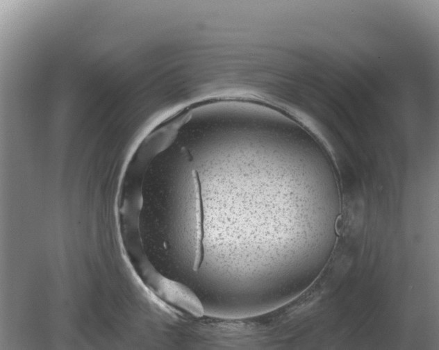 X0000080200959200612152037