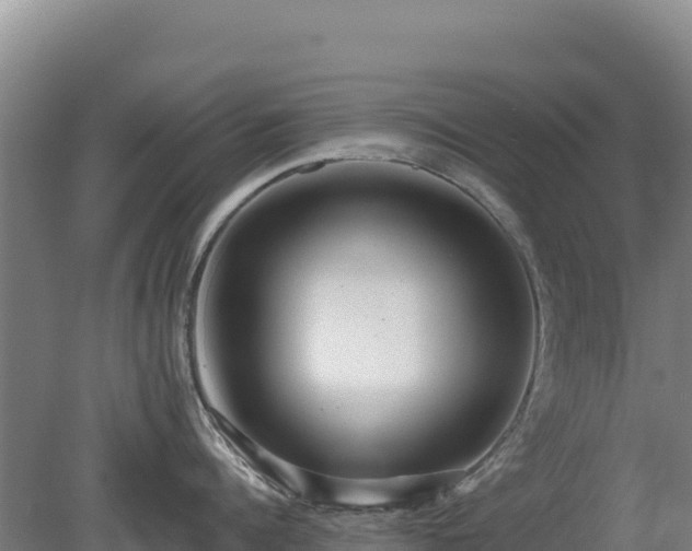 X0000080200960200612152037