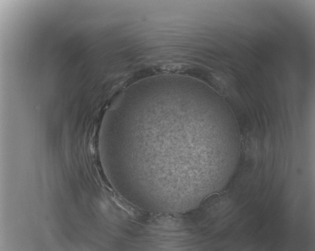 X0000080200962200612152036