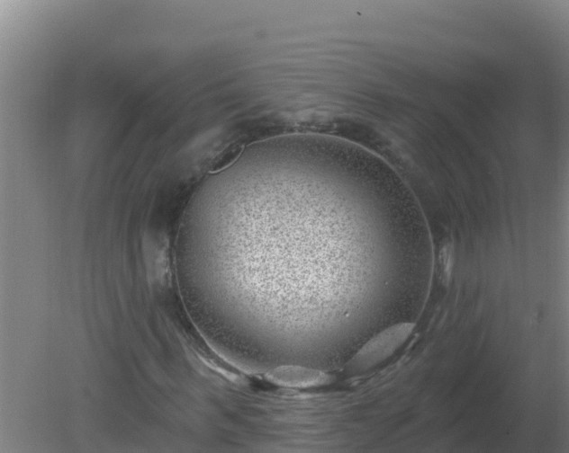 X0000080200963200612152036