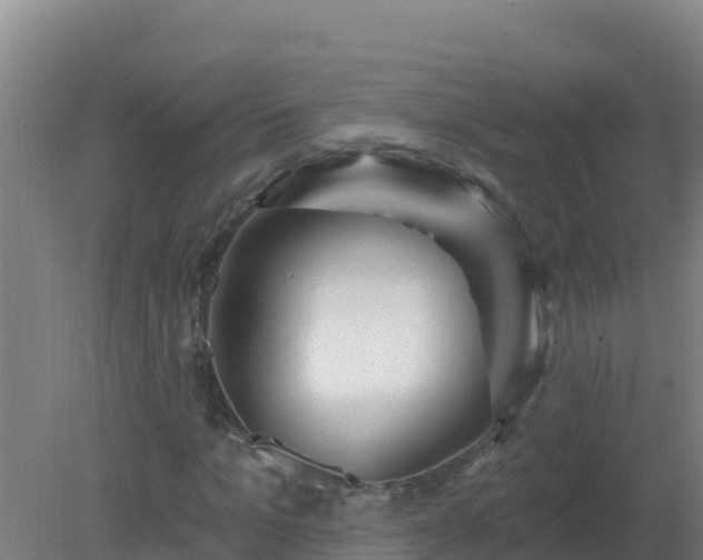 X0000080200965200612152036