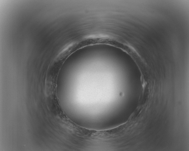 X0000080200967200612152036