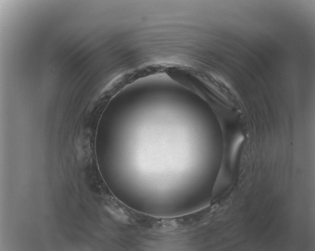 X0000080200968200612152036