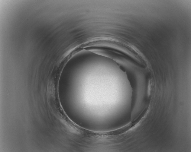 X0000080200969200612152036