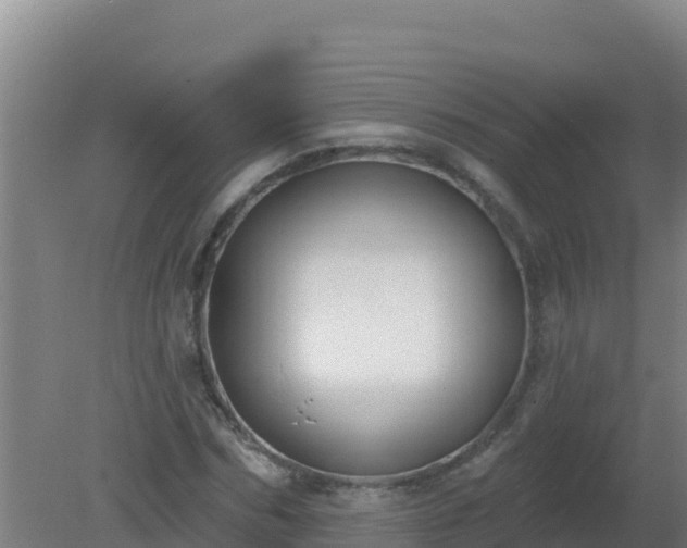 X0000080200970200612152036