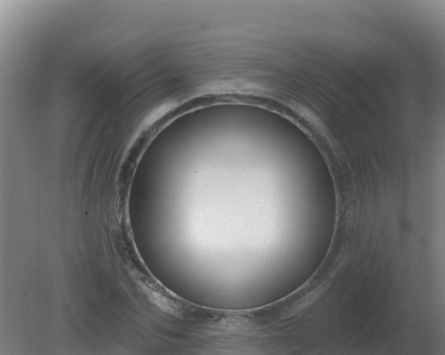 X0000080200974200612152036