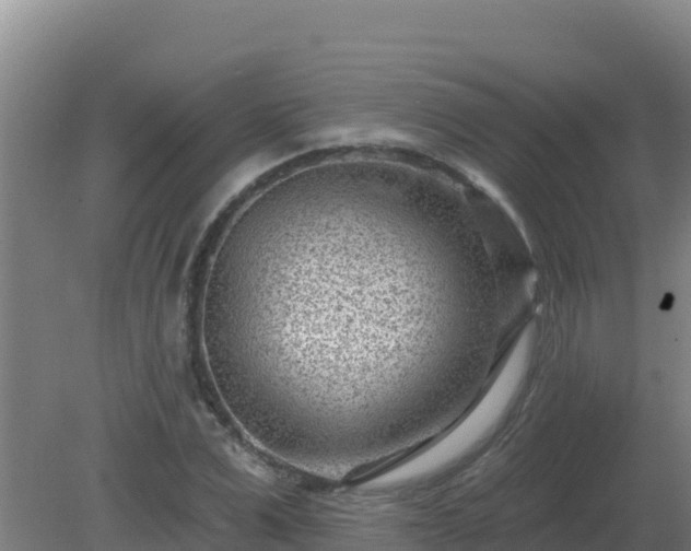 X0000080200975200612152036