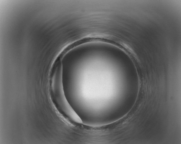 X0000080200976200612152036