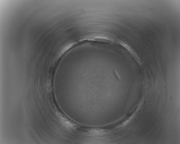 X0000080200977200612152036