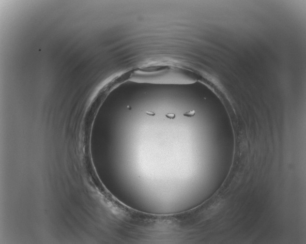 X0000080200979200612152036