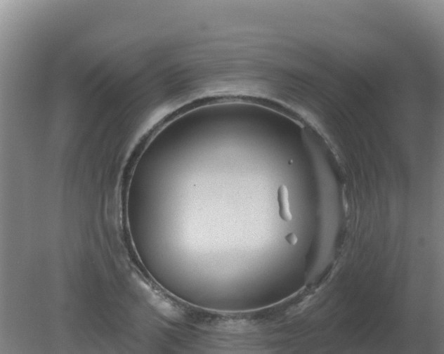 X0000080200982200612152035