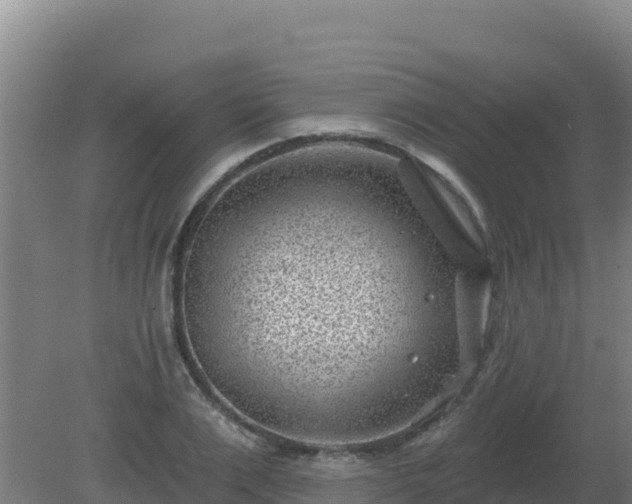 X0000080200983200612152035