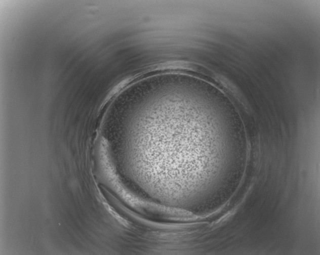 X0000080200985200612152035