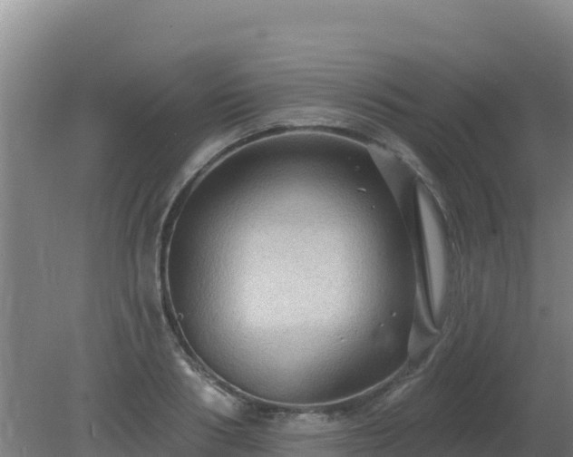 X0000080200986200612152035