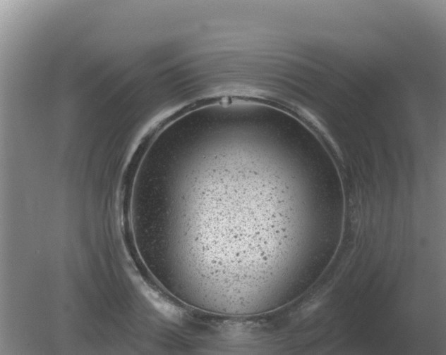 X0000080200987200612152035