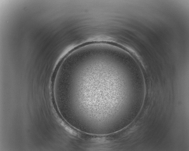 X0000080200990200612152035