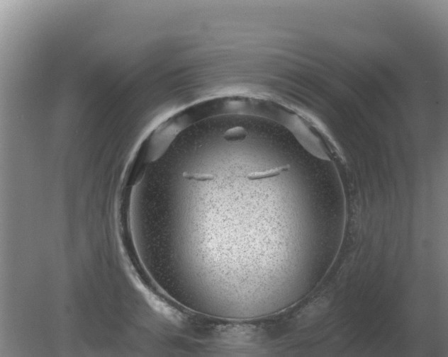 X0000080200991200612152035