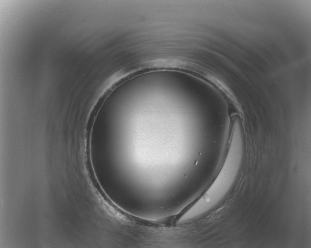 X0000080200992200612152035