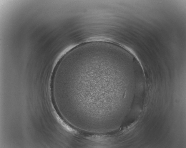 X0000080200995200612152035