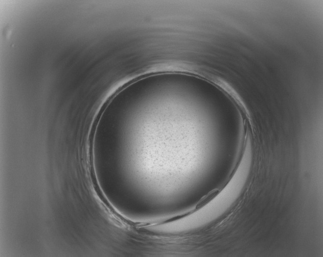 X0000080200996200612152035