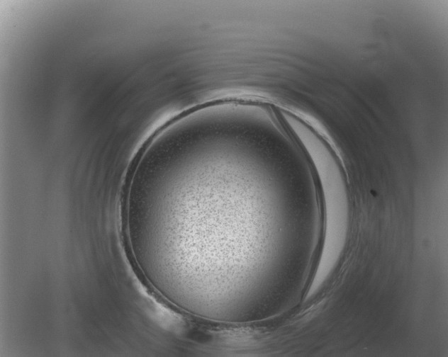 X0000080200999200612152035