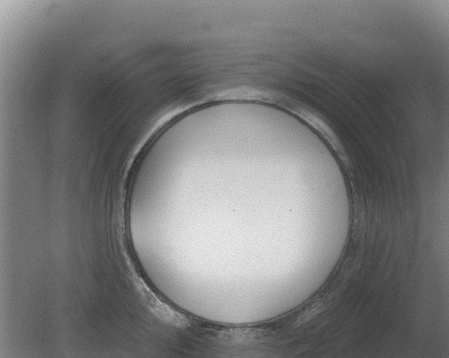 X0000080201000200612152035