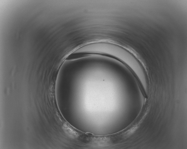 X0000080201001200612152035