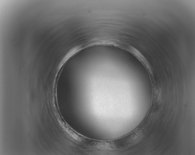 X0000080201002200612152035