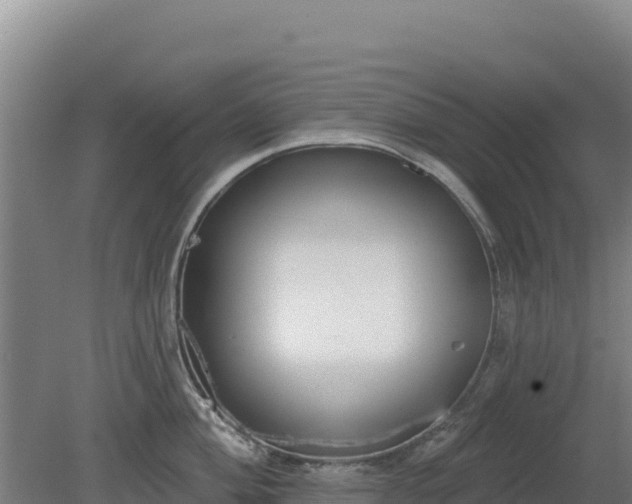 X0000080201004200612152035