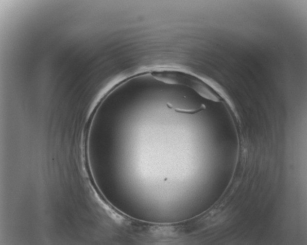 X0000080201006200612152035