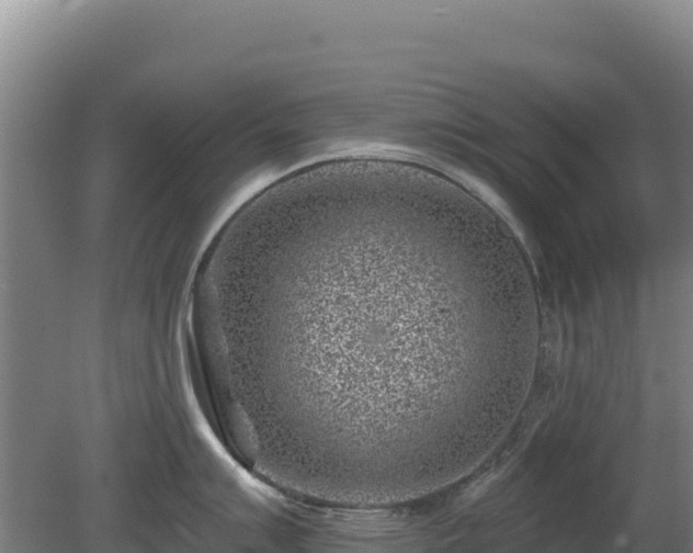 X0000080201007200612152035