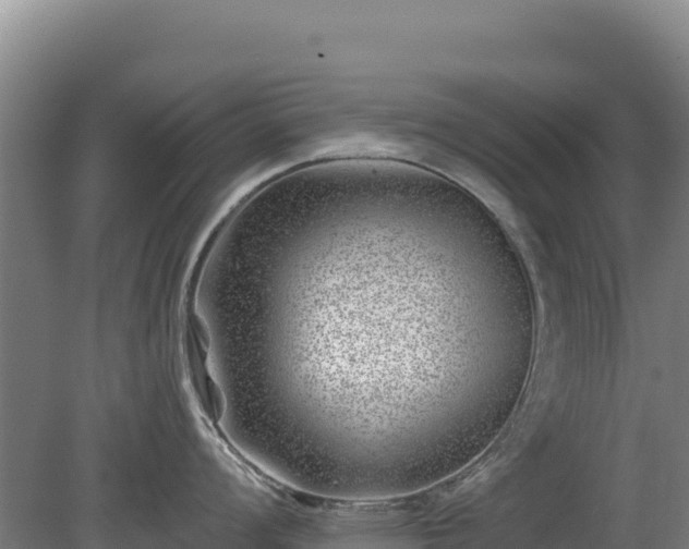 X0000080201008200612152035