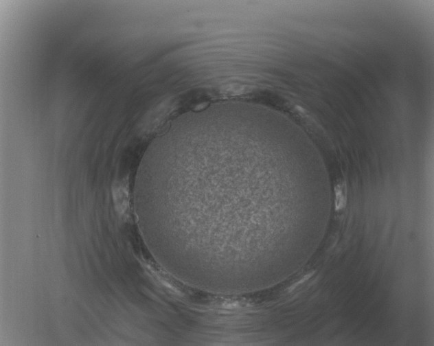 X0000080201011200612152034