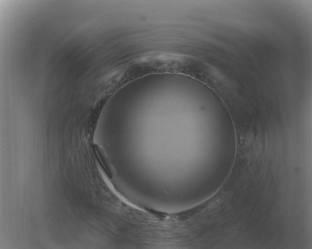 X0000080201013200612152034