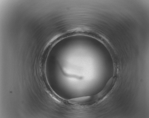 X0000080201018200612152034