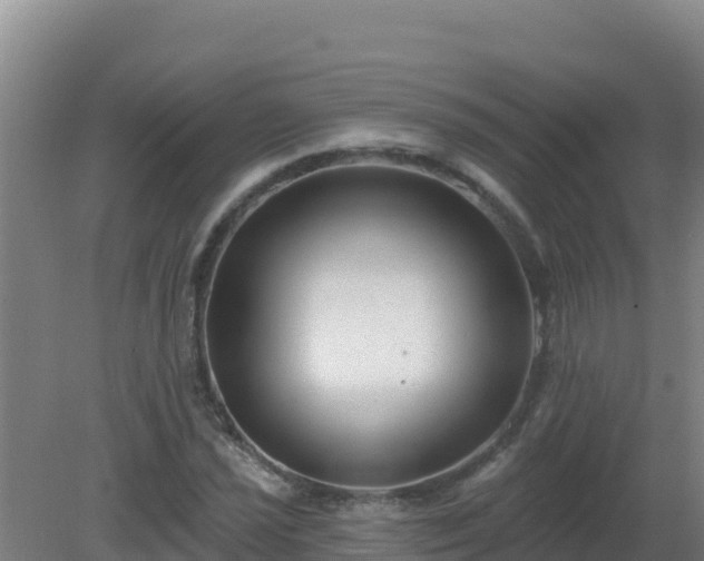 X0000080201021200612152034