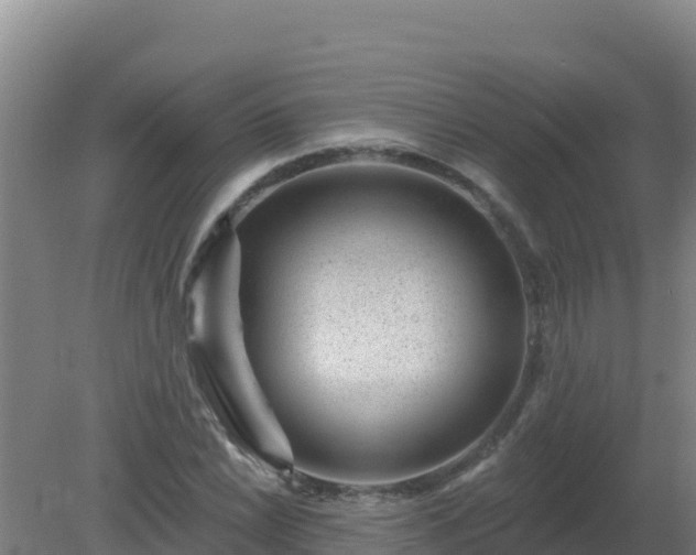 X0000080201022200612152034