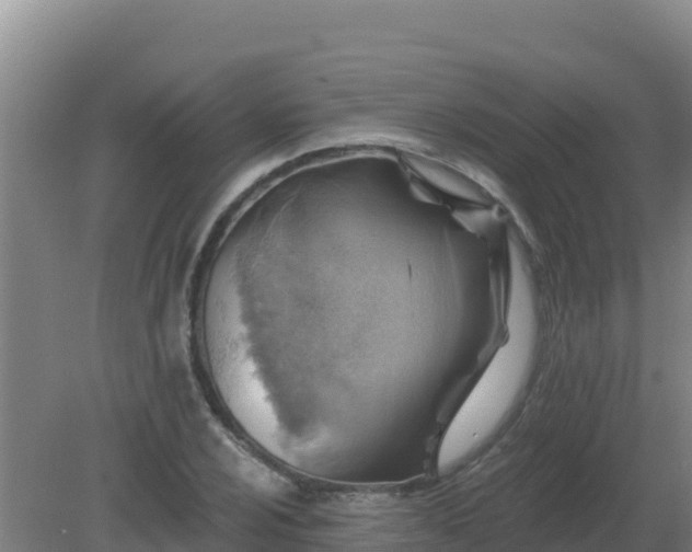 X0000080201024200612152034