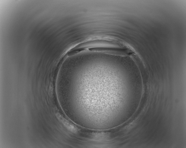 X0000080201025200612152035