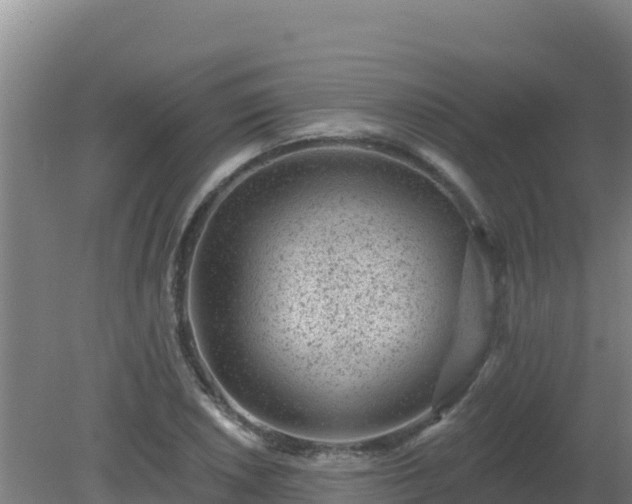 X0000080201026200612152035