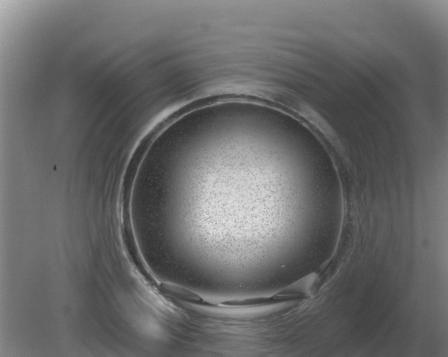 X0000080201028200612152035