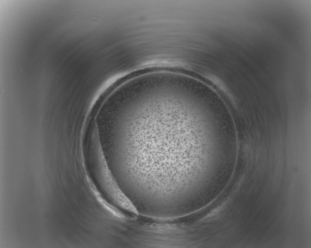 X0000080201030200612152035