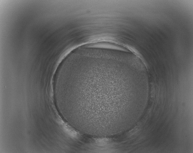 X0000080201031200612152035