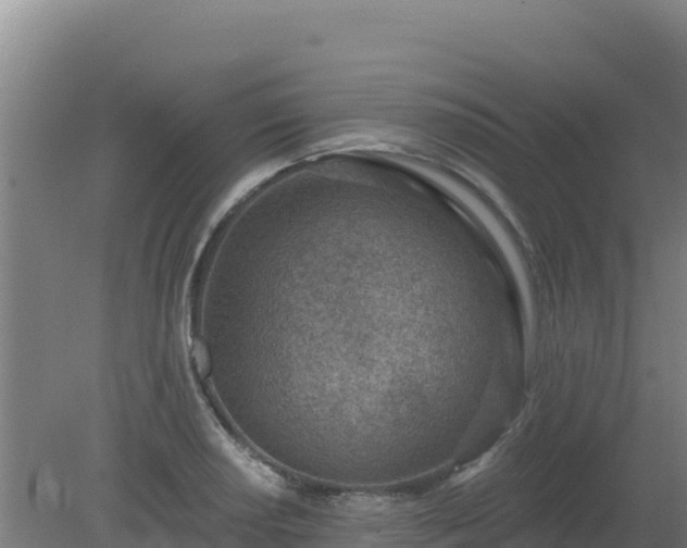 X0000080201034200612152035