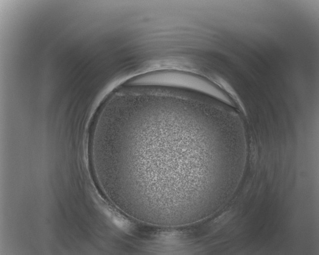 X0000080201035200612152035