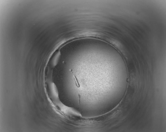 X0000080201039200612152035