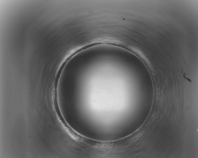 X0000080201040200612152035