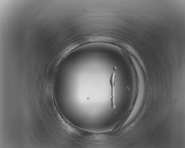 X0000080201041200612152035