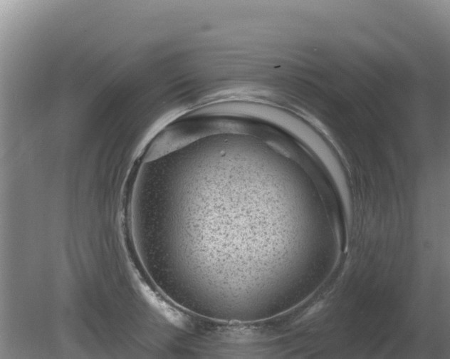 X0000080201042200612152035